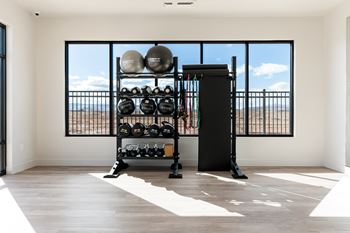 Free weights